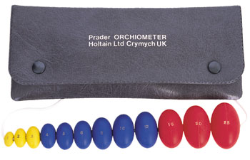 Prader Orchiometer